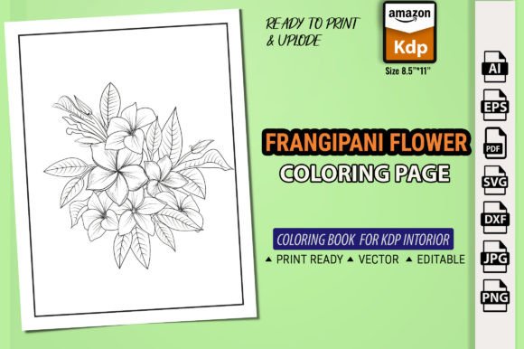 Frangipani Flower Coloring Books: Graphics & Amp